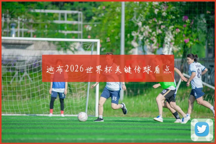 迪布2026世界杯关键传球看点